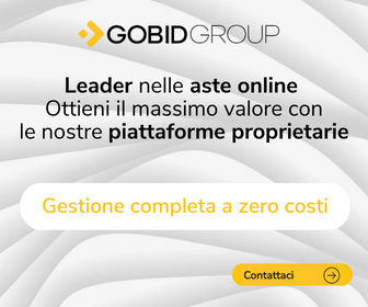GOBID 336 - Clicca per maggiori informazioni!