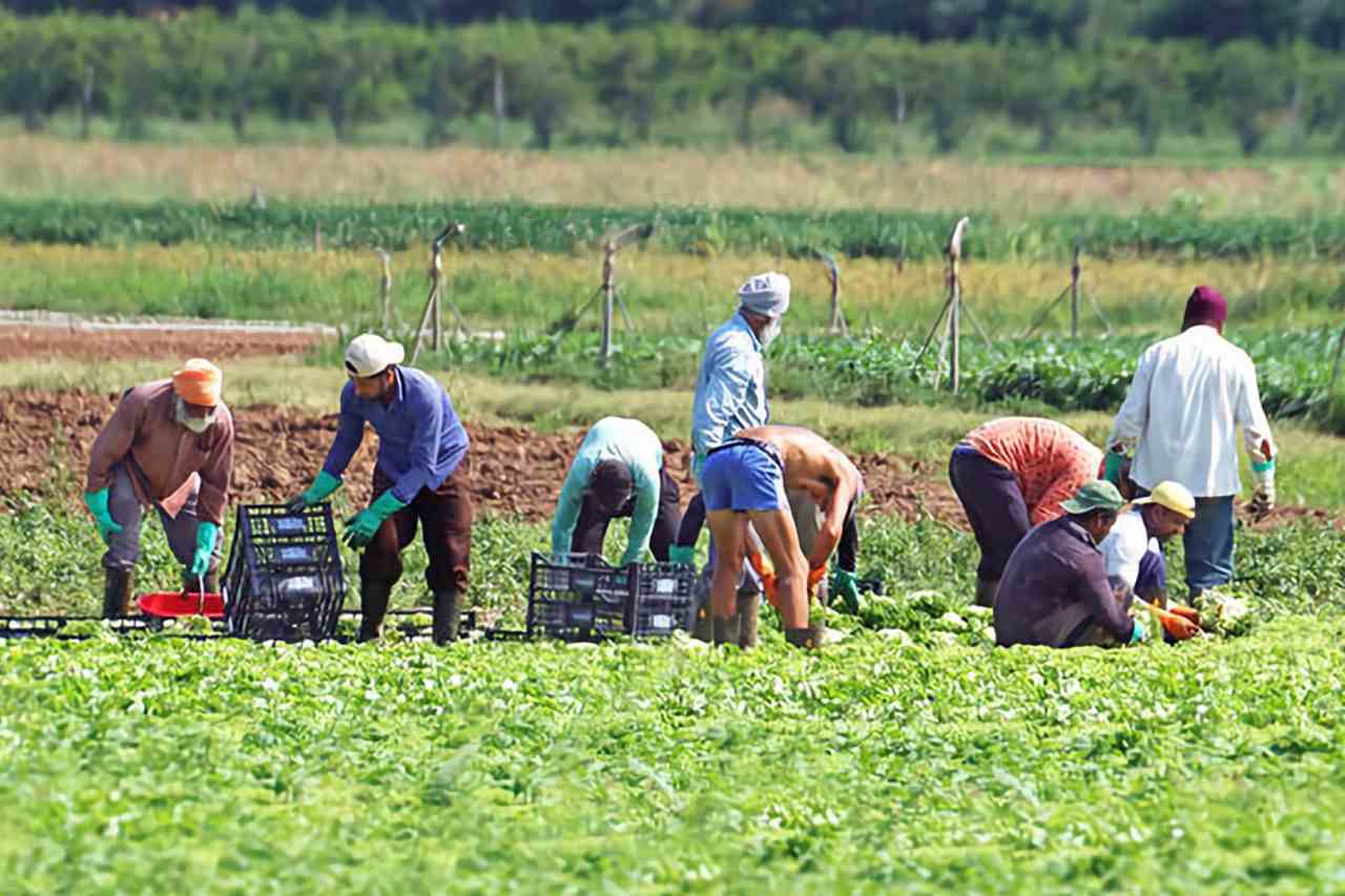 Procedura operativa per la regolarizzazione dei lavoratori clandestini e la conversione dei permessi di soggiorno scaduti