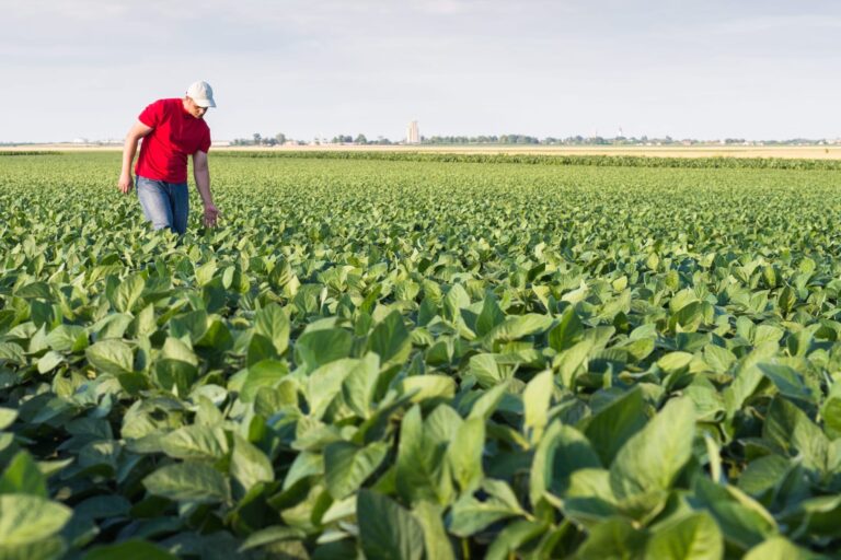 Le cooperative e la sostenibilità ambientale